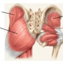 이지짐(EZ GYM) 이미지