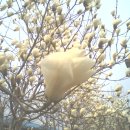 목련주유소 이미지