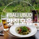 [임신8w&amp;태교여행] [발리]우붓 맛집 식당 총정리 (티스카페,디스이즈발리,피손, 투키스, 더블루문)