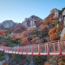 대둔산농장 이미지