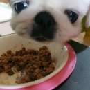 센텀동물종합병원 이미지