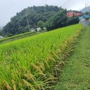 위곡3리 마을회관 이미지