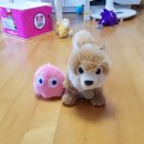 뽑기속으로 이미지