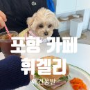 휘겔리 | 포항 브런치카페! 강아지랑 가기 좋은 ‘휘겔리’ 리얼 후기🐾