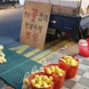 진사리입구 이미지