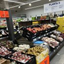 펫 챔 | 바르셀로나 여행 day 1 구엘공원, 비니투스, 마트 쇼핑, 고딕지구 추러스 추천, 라발지구 구경