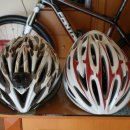 자전거 헬멧은 선택 아니라 필수. 이미지