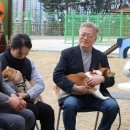 오늘 '세계 강아지의 날' 유기견 센터 방문한 문재인 대통령님 이미지