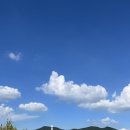 보스케 키즈