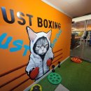 저스트복싱 이미지