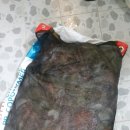 문어민박 이미지