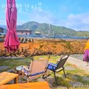 산외초등학교 | 밀양촌캉스 밀양빨간지붕 요즘 트렌드 촌캉스숙소 찾을 땐 여기!