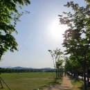 율하체육공원 잔디광장 이미지