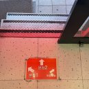 내가탑 2호점 | 이재모피자 본점 2호점&gt;, &lt;이재모피자 포장배달점...솔직 후기 (이재모피자 본점 2호점 차이/웨이팅...