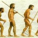 털 없는 원숭이