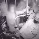 세운버스 이미지