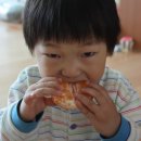 함초롬농원 | 노지한라봉구매후기