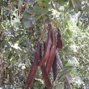 구주슈퍼 이미지