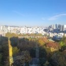 압구정-234 이미지