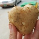 하늘농산 이미지