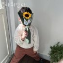 플라워담다