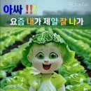 정보 이미지