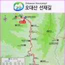 제 445회 정기산행 강원도 평창 오대산 선재길 및 봉평 메밀꽃 축제(2024.9.7) 이미지