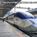 마줌 이미지