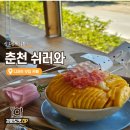 지내고탄로 | [춘천 카페] 쉬러와 생망고빙수 먹으면 꽃을 주는 곳! 자몽망고산도 솔직 후기
