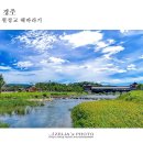 해바라기2