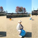 둥이목장 이미지