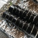 꽁다리김밥 이미지