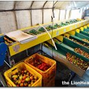 유일농장 이미지