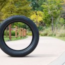 오토클래스타이어 이미지