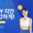 해피데이지