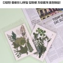 (동서남북)자연의 색을 담다 천연염색 | 압화공예 및 누름꽃공예 압화액자 체험 키트 추천