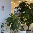 시청역(2)(지하1층) 화장실 | 시청역쌀국수 벳남미식 시청직영점 후기