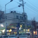 용현동물텀벙이거리 이미지