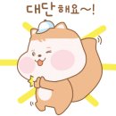 네오공인중개사사무소 이미지