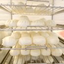 5893 | 푸동공항 근처 디즈니랜드 무료셔틀 가성비 숙소 상하이 조이풀 야드 호텔 조식 후기