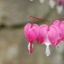 수도의료기 이미지