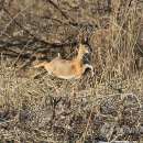 산북파출소 이미지