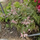 연휴에 울 님들 몇분 뵙고 왔습니다~ 이미지