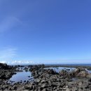 제주13月 이미지