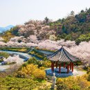 마인계터1 이미지