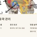 작은얼굴에스테틱 이미지