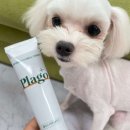 학교종이 댕댕댕 이미지