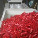 소연농장 이미지