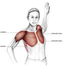 몸튼튼 근력 스트레칭 이미지