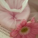 백운떡집 | 상견례 준비 | 안양 꽃송편 “지음떡공방” 답례품 내돈내산